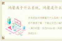 鸿蒙属于什么系统，鸿蒙是什么系统