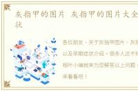 灰指甲的图片 灰指甲的图片大全 初期症状