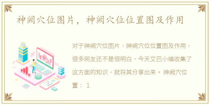 神阙穴位图片，神阙穴位位置图及作用