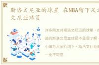 斯洛文尼亚的球星 在NBA留下足迹的斯洛文尼亚球员