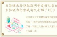 天涯曝朱梓骁郭敬明爱爱致肛裂细节图（_朱梓骁为何雪藏消失去哪了(5)）