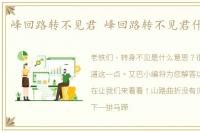 峰回路转不见君 峰回路转不见君什么意思