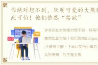 你绝对想不到，软萌可爱的大熊猫竟然如此可怕！他们依然“禁欲”
