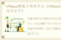tfboys解散了吗为什么（tfboys解散了吗为什么下）