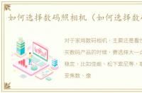 如何选择数码照相机（如何选择数码相机）