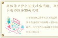 微信保卫萝卜30关攻略图解，微信保卫萝卜迅游版第30关攻略