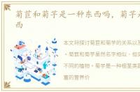菊苣和菊芋是一种东西吗，菊芋是什么东西