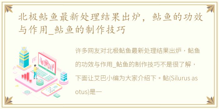 北极鲇鱼最新处理结果出炉，鲇鱼的功效与作用_鲇鱼的制作技巧
