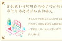 张靓颖和冯轲现在离婚了吗张靓颖和冯轲为何离婚离婚背后真相曝光