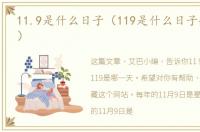 11.9是什么日子（119是什么日子航空警报）