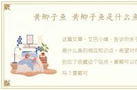 黄鲫子鱼 黄鲫子鱼是什么鱼