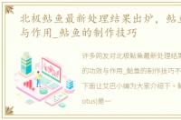 北极鲇鱼最新处理结果出炉，鲇鱼的功效与作用_鲇鱼的制作技巧