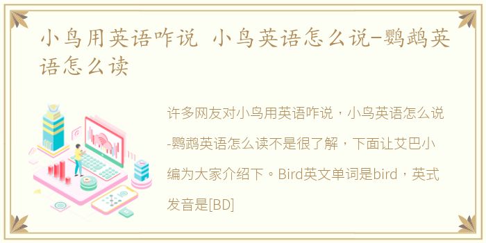 小鸟用英语咋说 小鸟英语怎么说-鹦鹉英语怎么读