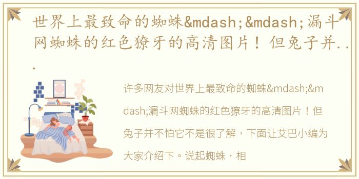 世界上最致命的蜘蛛——漏斗网蜘蛛的红色獠牙的高清图片！但兔子并不怕它