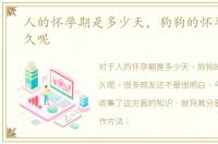 人的怀孕期是多少天，狗狗的怀孕期是多久呢