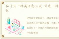 和什么一样英语怎么说 你也一样英语怎么说