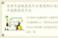 信用卡溢缴款是什么意思购汇还款，信用卡溢缴款是什么