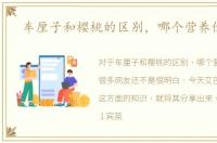 车厘子和樱桃的区别，哪个营养价值高