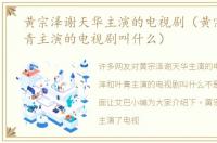 黄宗泽谢天华主演的电视剧（黄宗泽和叶青主演的电视剧叫什么）