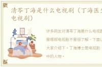 清苓丁海是什么电视剧（丁海医生是哪部电视剧）