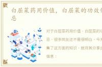 白屈菜药用价值，白屈菜的功效作用与禁忌