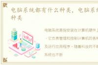 电脑系统都有什么种类，电脑系统有哪些种类