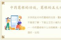 中药葛根的功效，葛根的五大功效