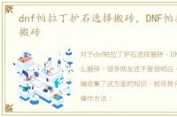 dnf帕拉丁护石选择搬砖，DNF帕拉丁怎么搬砖