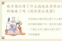 歌手陈红得了什么病现在身体状况如何真的瘫痪了吗（现任老公是谁）