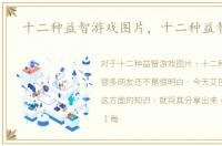 十二种益智游戏图片，十二种益智游戏