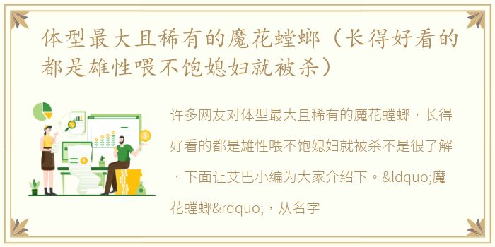 体型最大且稀有的魔花螳螂（长得好看的都是雄性喂不饱媳妇就被杀）