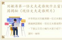 刘敏涛第一任丈夫是谁做什么富商离婚原因揭秘（现任丈夫是谁照片）