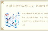 泥鳅钓鱼方法和技巧，泥鳅钓鱼方法
