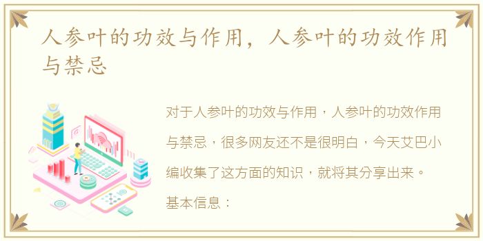 人参叶的功效与作用，人参叶的功效作用与禁忌