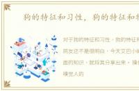 狗的特征和习性，狗的特征和特点