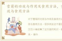 雪菊的功效与作用及食用方法，雪菊的功效与食用方法