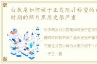 白鹿是如何被于正发现并称赞的白鹿网红时期的照片黑历史很严重