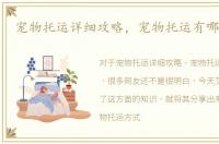 宠物托运详细攻略，宠物托运有哪些方式