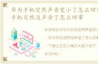 华为手机突然声音变小了怎么回事，华为手机突然没声音了怎么回事
