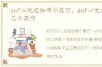 dnf心悦宠物哪个最好，dnf心悦会员宠物怎么获得