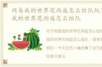 网易我的世界花雨庭怎么组队玩家，网易我的世界花雨庭怎么组队