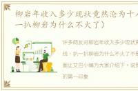 柳岩年收入多少现状竟然沦为十八线（扒一扒柳岩为什么不火了）