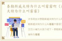 泰勒斯威夫特为什么叫霉霉啊（泰勒斯威夫特为什么叫霉霉）