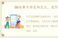 QQ炫舞手游宠物怎么，进阶