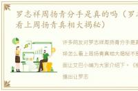 罗志祥周扬青分手是真的吗（罗志祥怎么看上周扬青真相大揭秘）