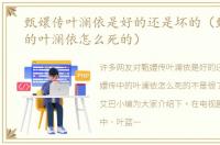 甄嬛传叶澜依是好的还是坏的（甄嬛传中的叶澜依怎么死的）