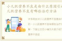 小儿肌营养不良是由什么原因引起的，小儿肌营养不良有哪些治疗方法