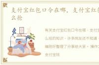 支付宝红包口令在哪，支付宝红包口令怎么抢