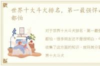 世界十大斗犬排名，第一最强悍凶猛看着都怕
