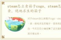 steam怎么卖箱子csgo，steam怎样出售，卖，绝地求生的箱子